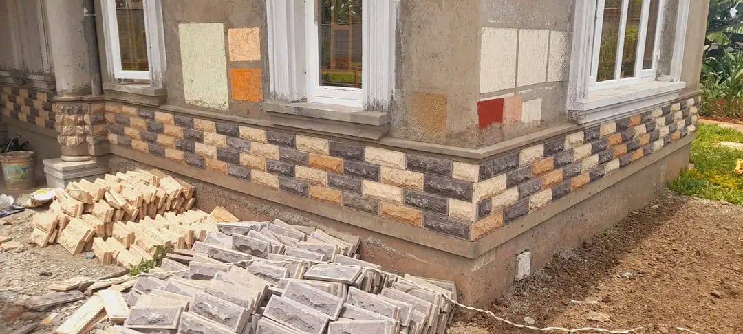 309852245 621573853004946 3403369037931085258 n