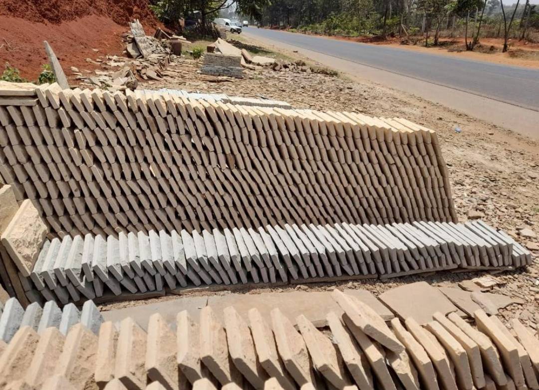 309906271 621574079671590 3017975878808976733 n