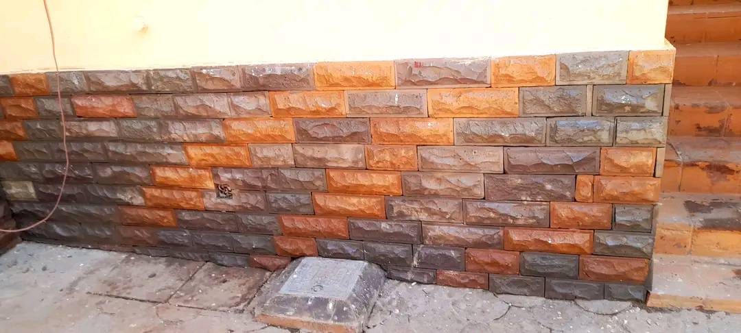 310475095 621573743004957 103356280111770126 n