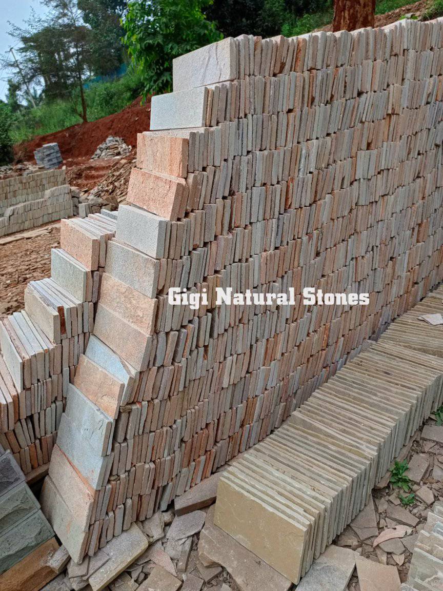 370301103 824692786026384 7374535887023293671 n