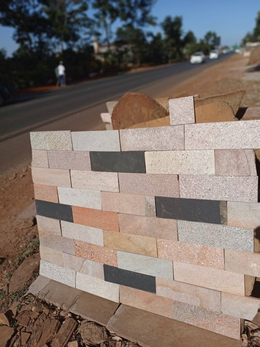 371362024 824692742693055 4299666821095566969 n