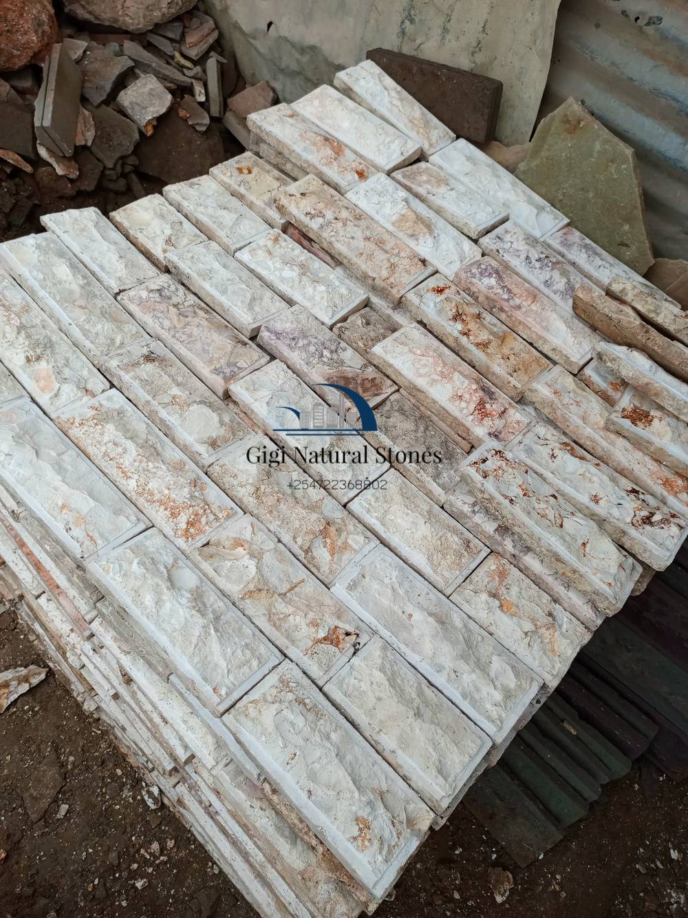 374620843 826368162525513 2613927852554763135 n